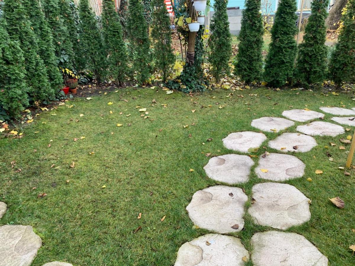 Avram Iancu Apartment