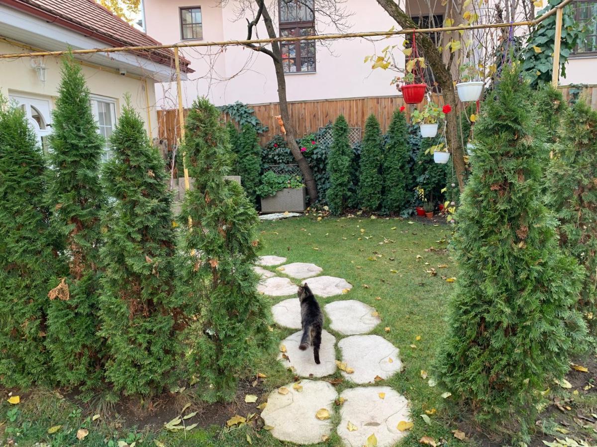Apartment Avram Iancu Cluj-Napoca